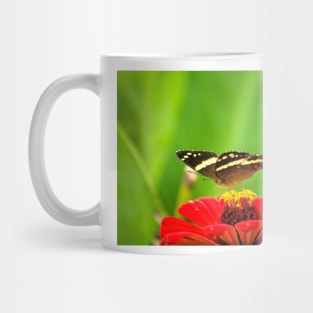 oli butterfly Mug